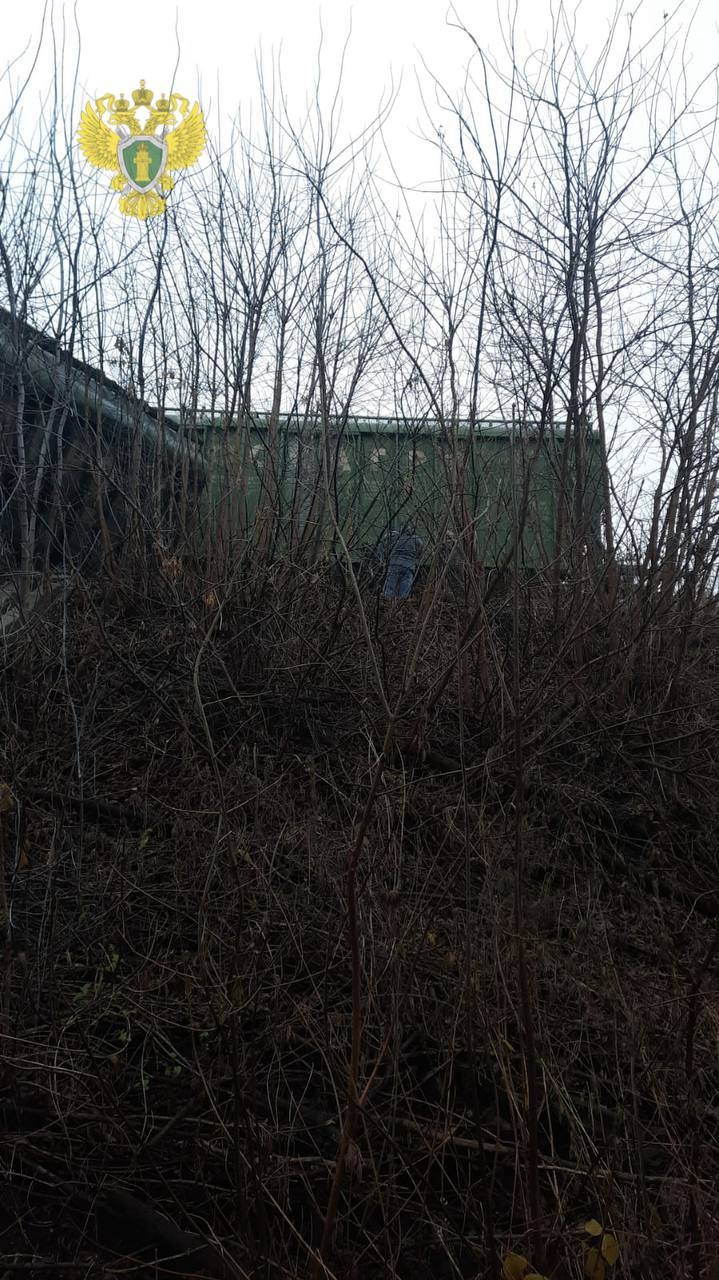 Изображение из галереи