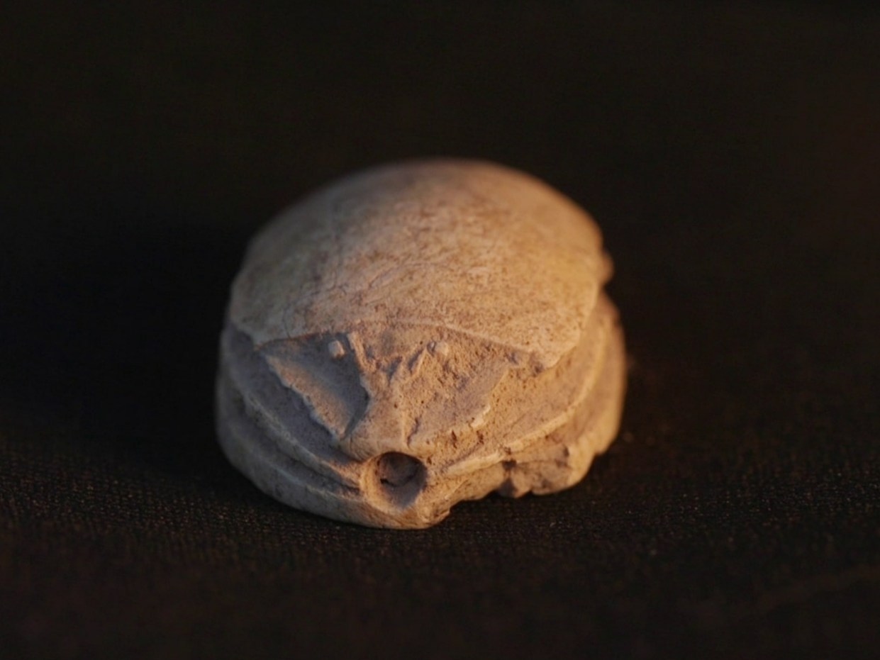 Миниатюра 2