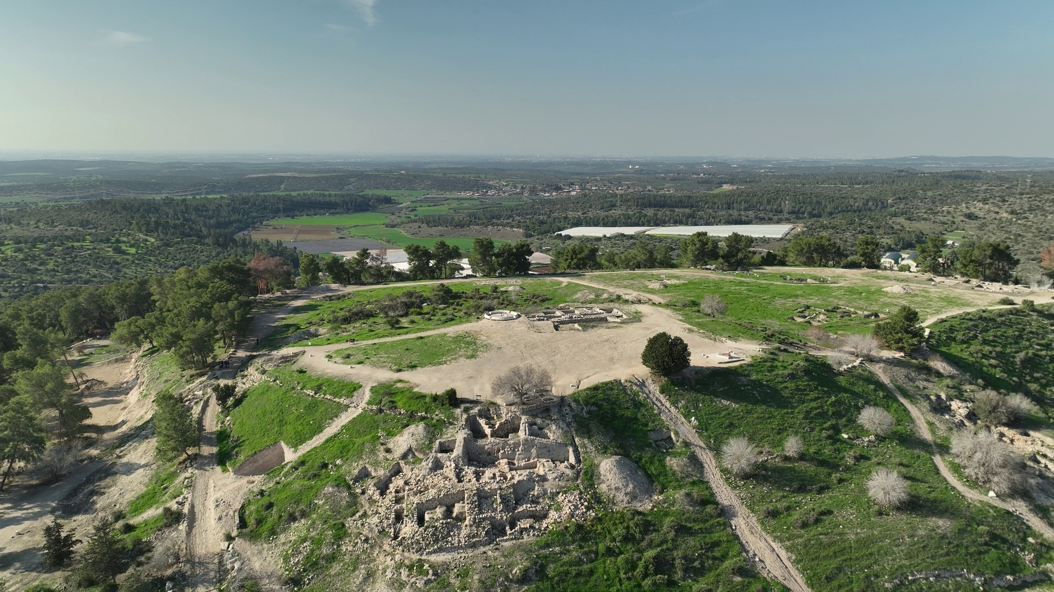 Миниатюра 4