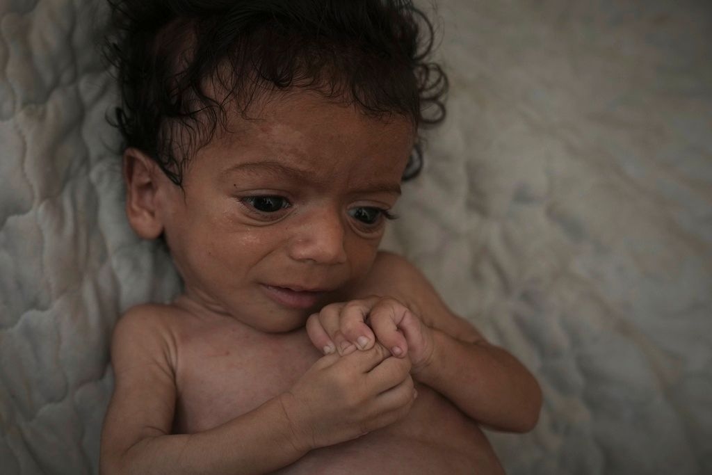 Salam, 7 months old