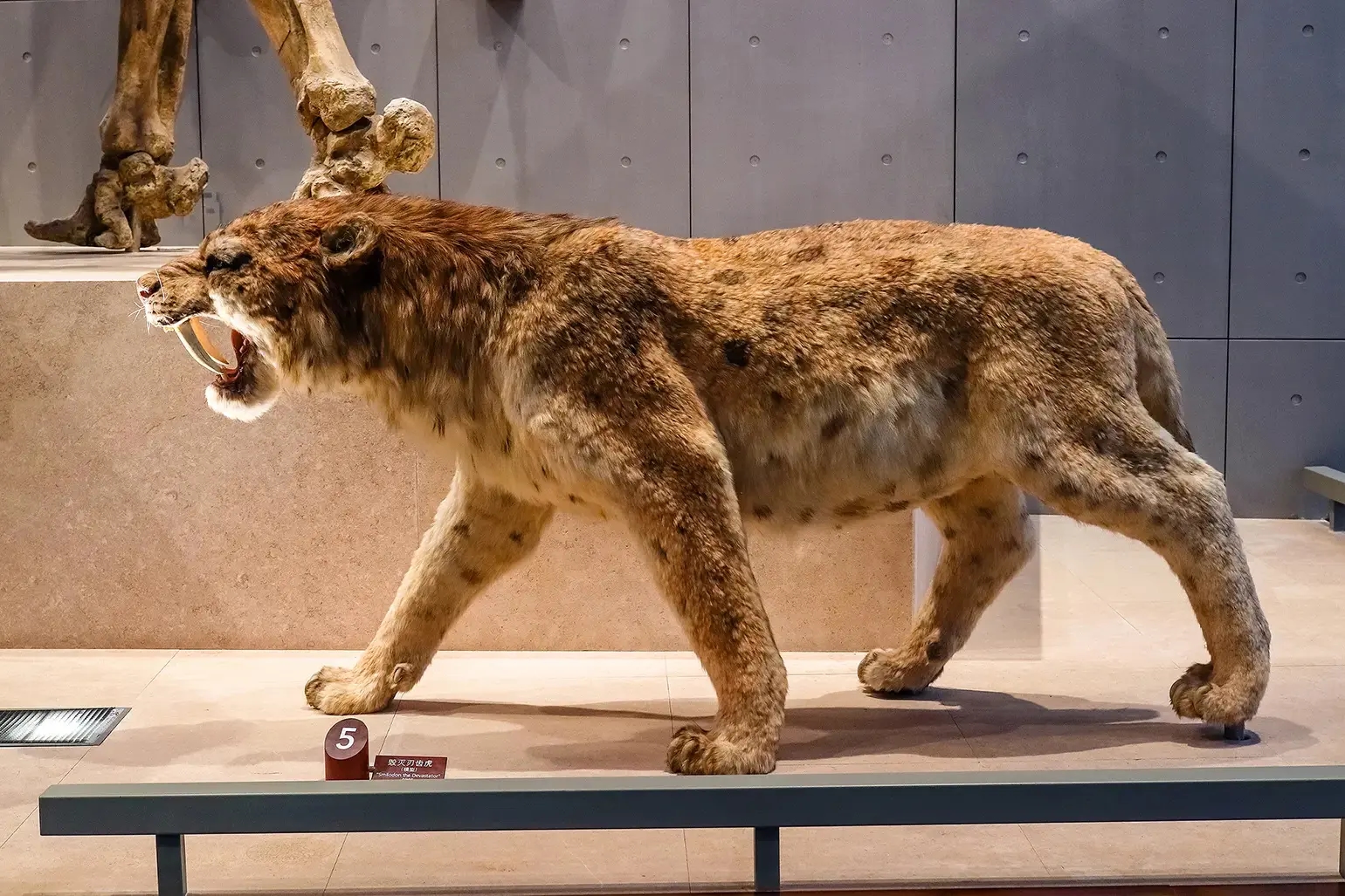 Фото: Akkharat J./stock.adobe.com