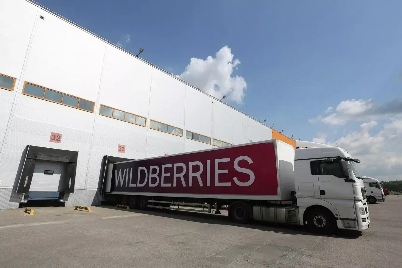Photo: Wildberries