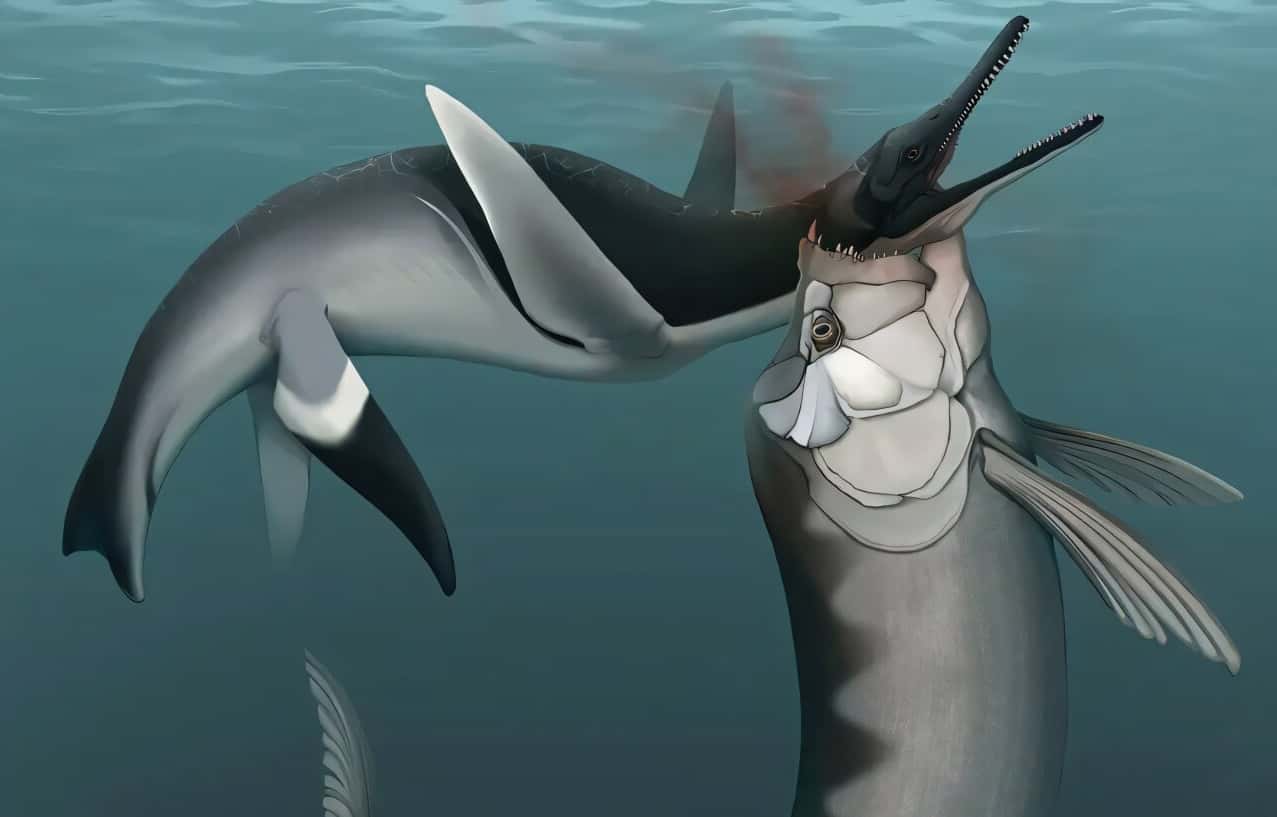 Ученые нашли первое свидетельство укуса плезиозавра за горло древней гигантской рыбой