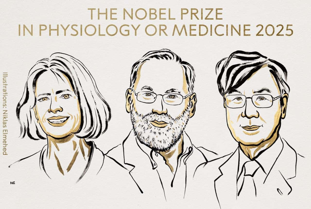 Нобелевская премия по медицине присуждена за открытие новых иммунных клеток и гена, мешающего их развитию
