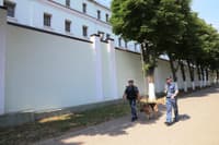 Миниатюра 8