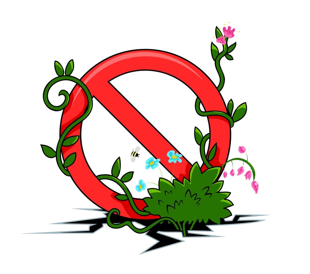 Сайт с фанфиками «Фанфикус» заблокировали из-за историй с ЛГБТ-персонажами. Ресурс решил скрыть часть контента от читателей из РФ