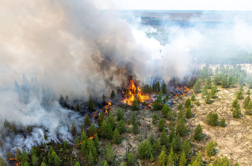 Let it burn: Russia faces risk of massive wildfires this year due to war-driven budget cuts