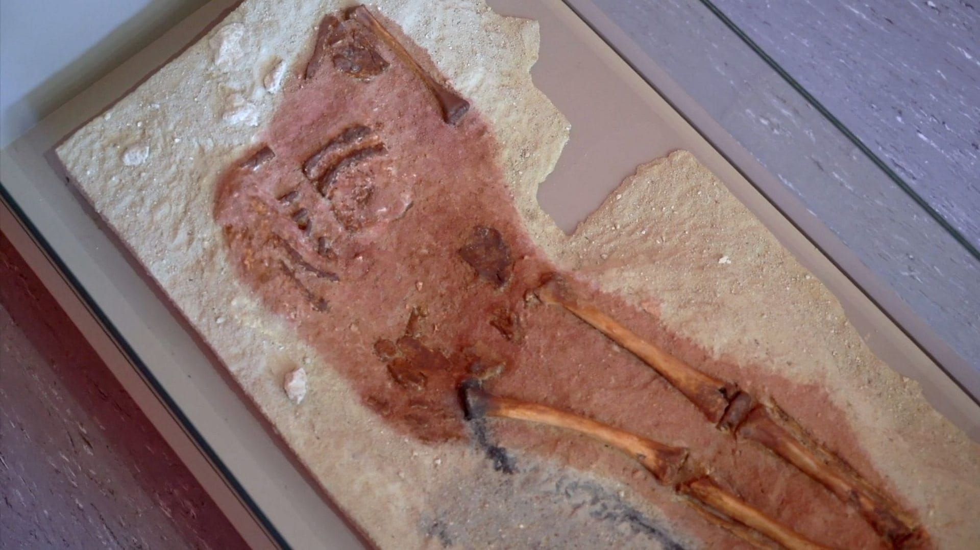 Новый метод углеродного датирования помог уточнить возраст «ребенка из Лапедо», которого считают метисом неандертальца и человека разумного