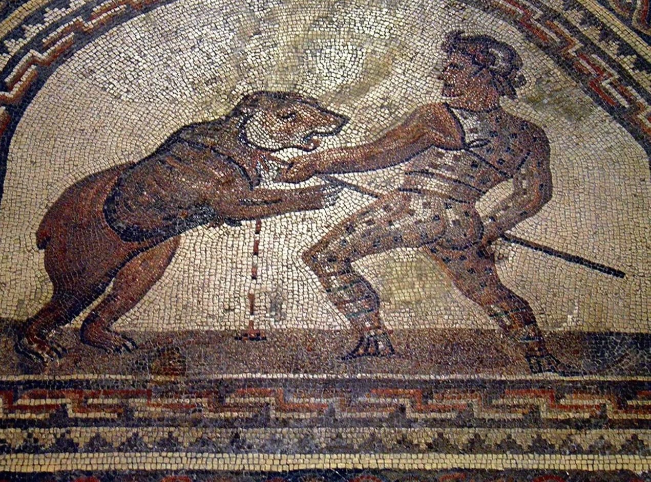 Ученые впервые обнаружили физические доказательства боев римских гладиаторов с медведями