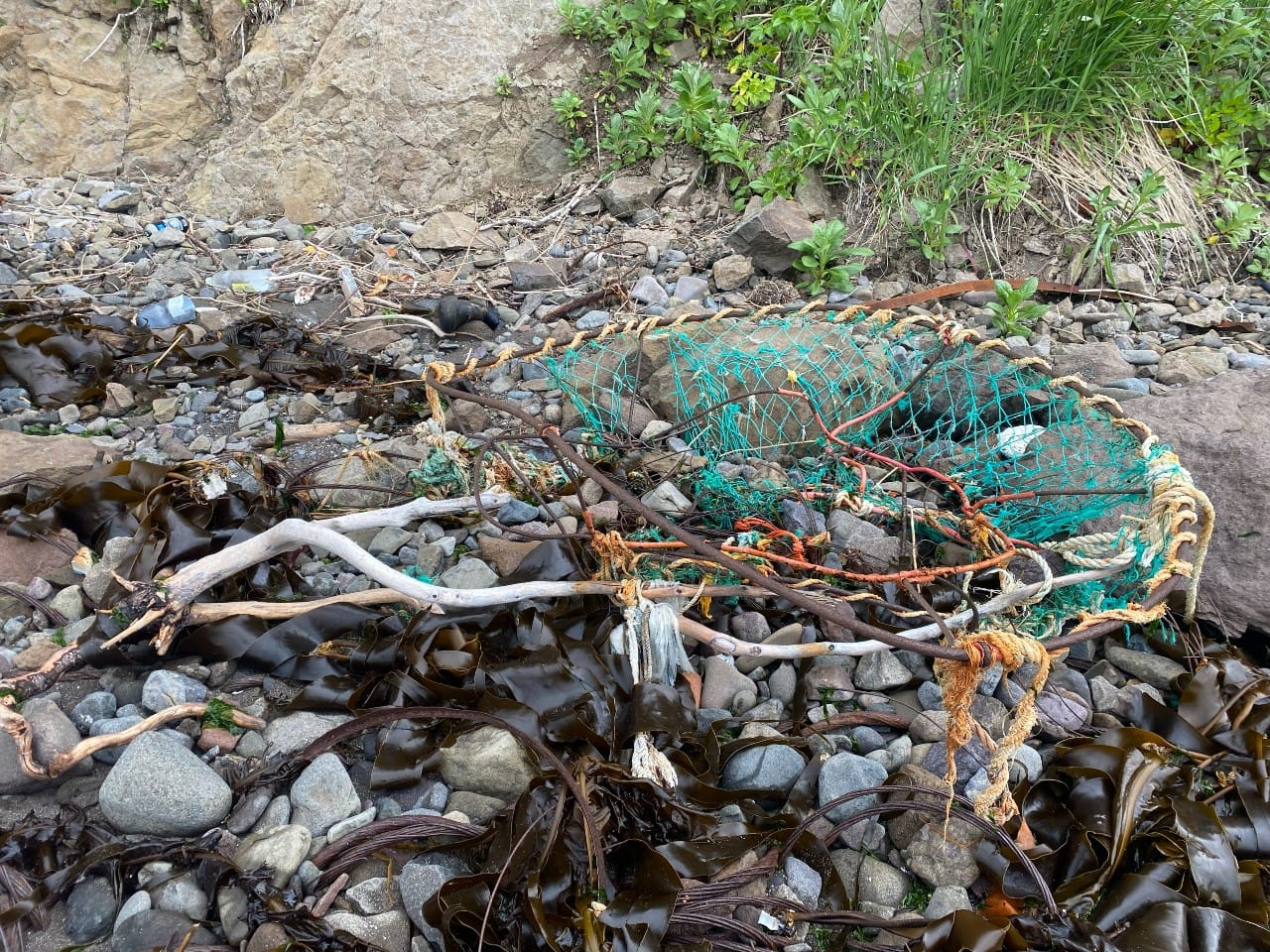 И рыбку съесть, и по статье не сесть. Как Камчатка стала центром браконьерства — репортаж