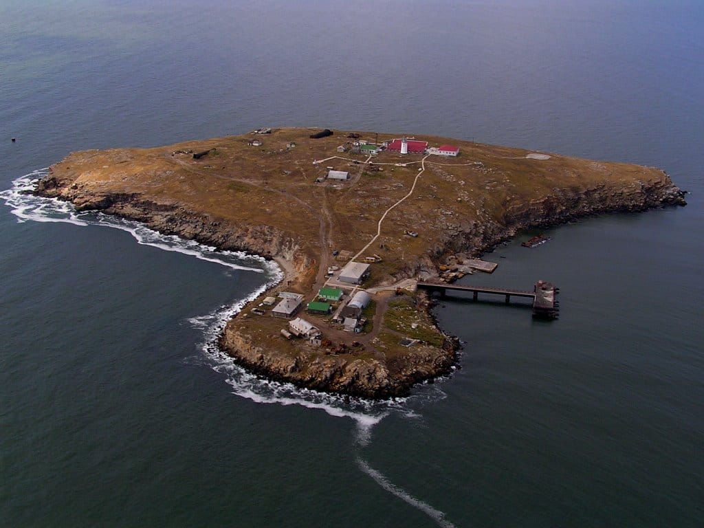 Фейк Минобороны РФ: на острове Змеиный сдались в плен 82 украинских военнослужащих