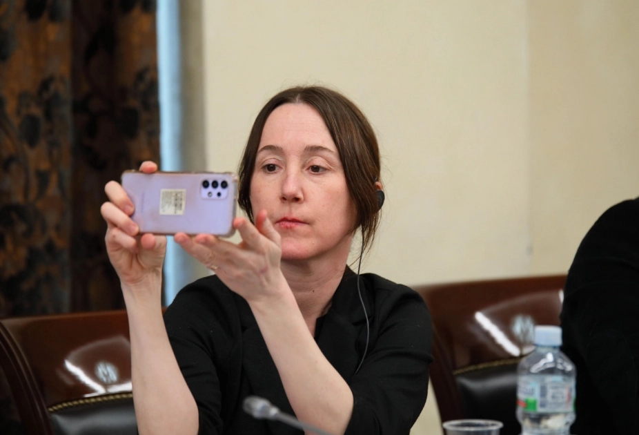 Eva Bartlett at a tribunal session