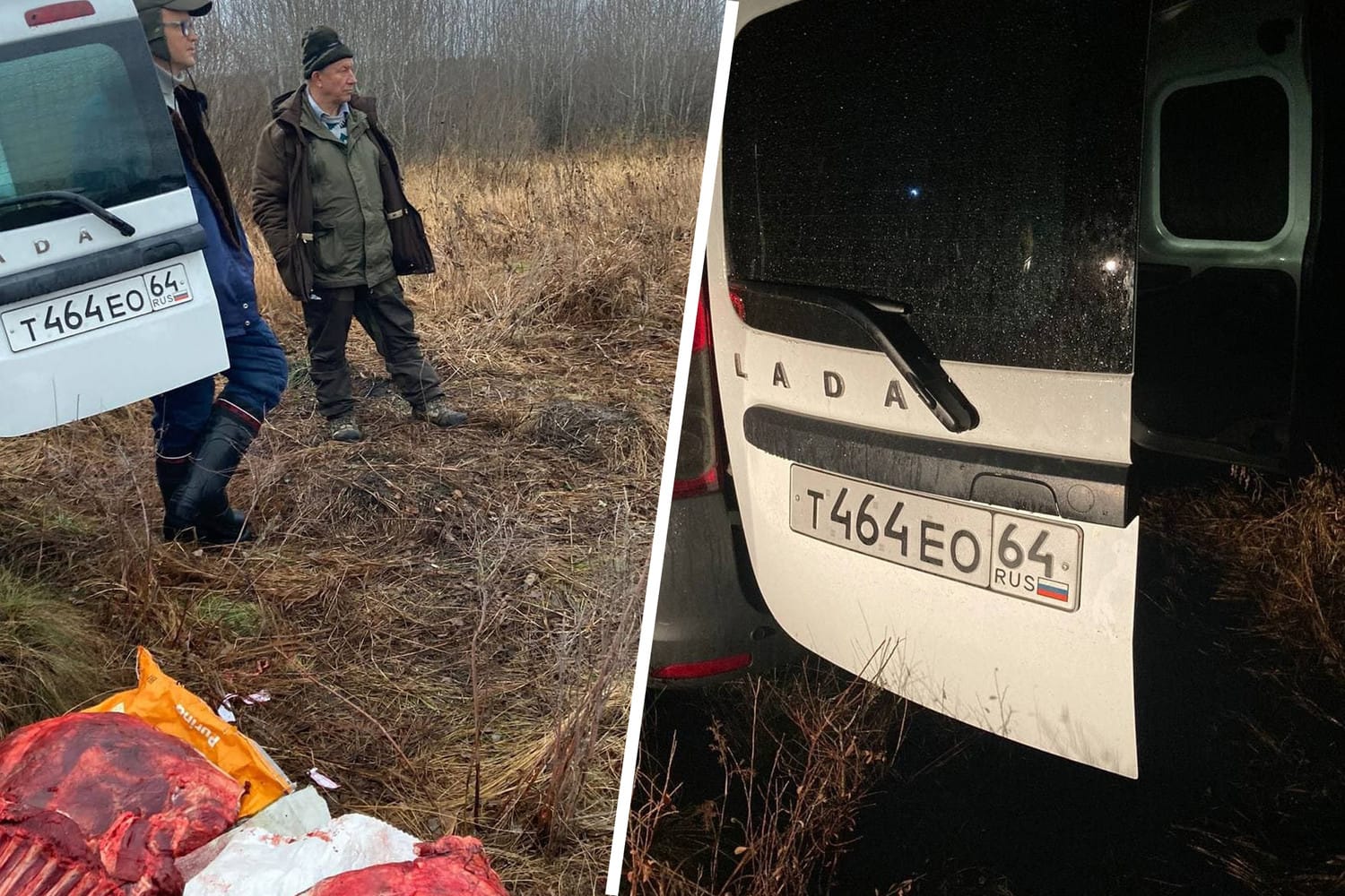 Депутата Валерия Рашкина поймали с убитым лосем в машине в охотугодьях под Саратовым