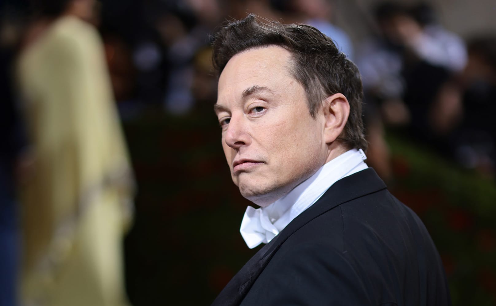 Провести повторное голосование в аннексированных регионах, Крым остается в составе России. Илон Маск предложил свой вариант окончания войны