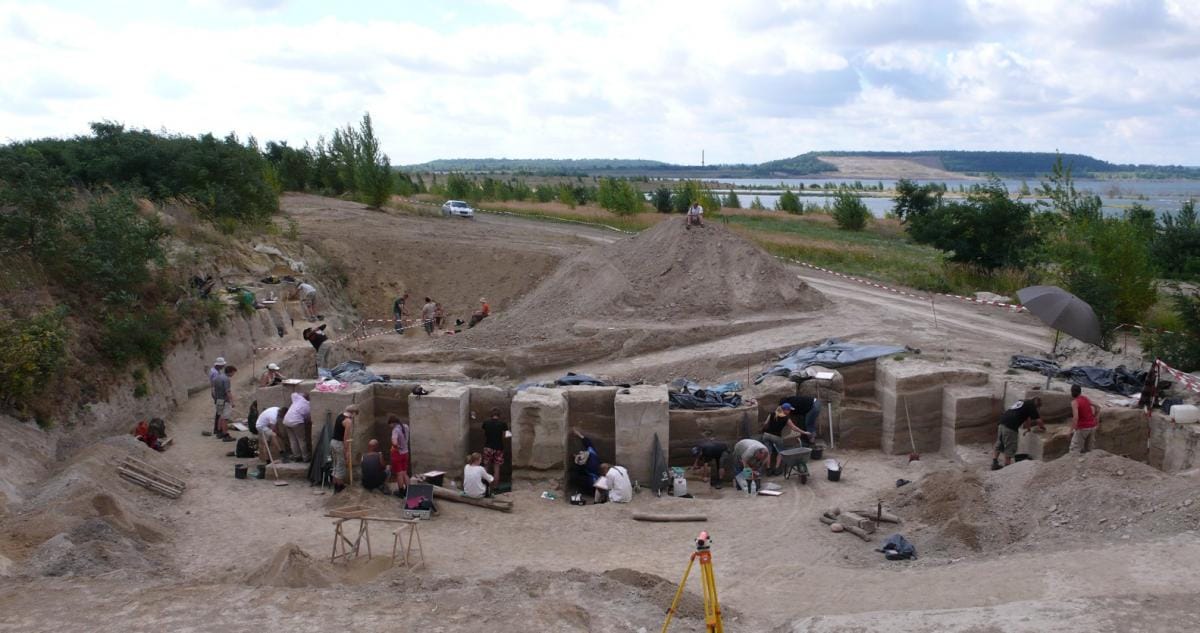 Ученые обнаружили «жировой завод» неандертальцев — они оказались гораздо более развитым видом, чем предполагалось ранее