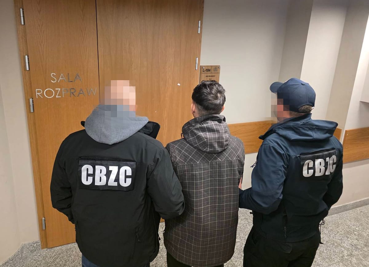 Polish police detain Russian citizen on suspicion of cyberattacks after online store breach