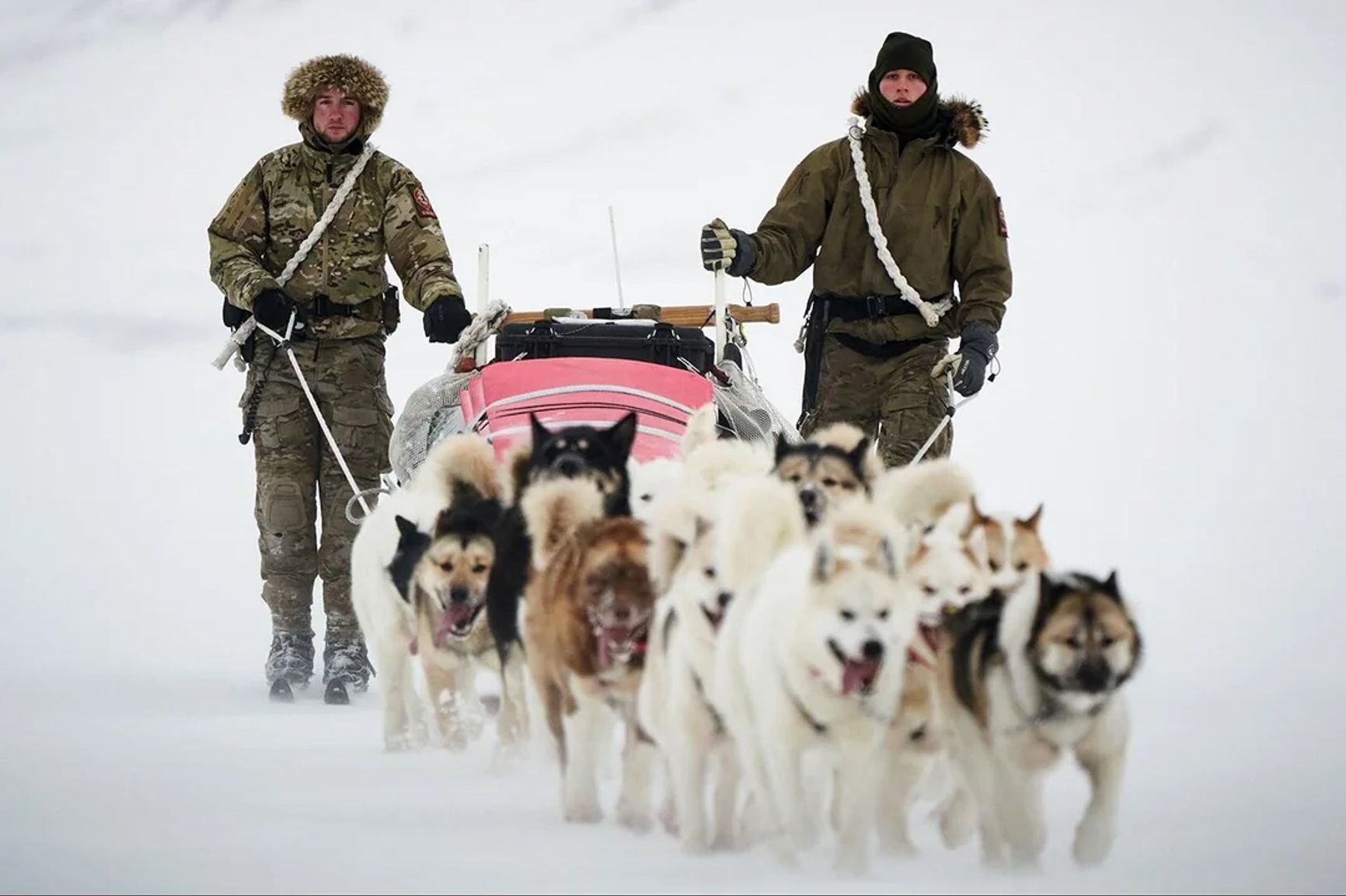 The Sirius Dog Sled Patrol on duty