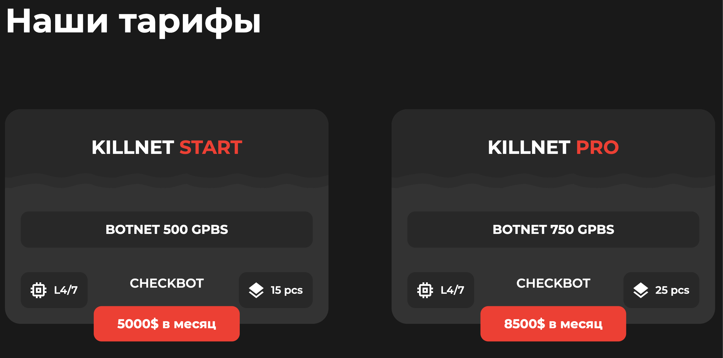 Скриншот архивной копии сайта Killnet