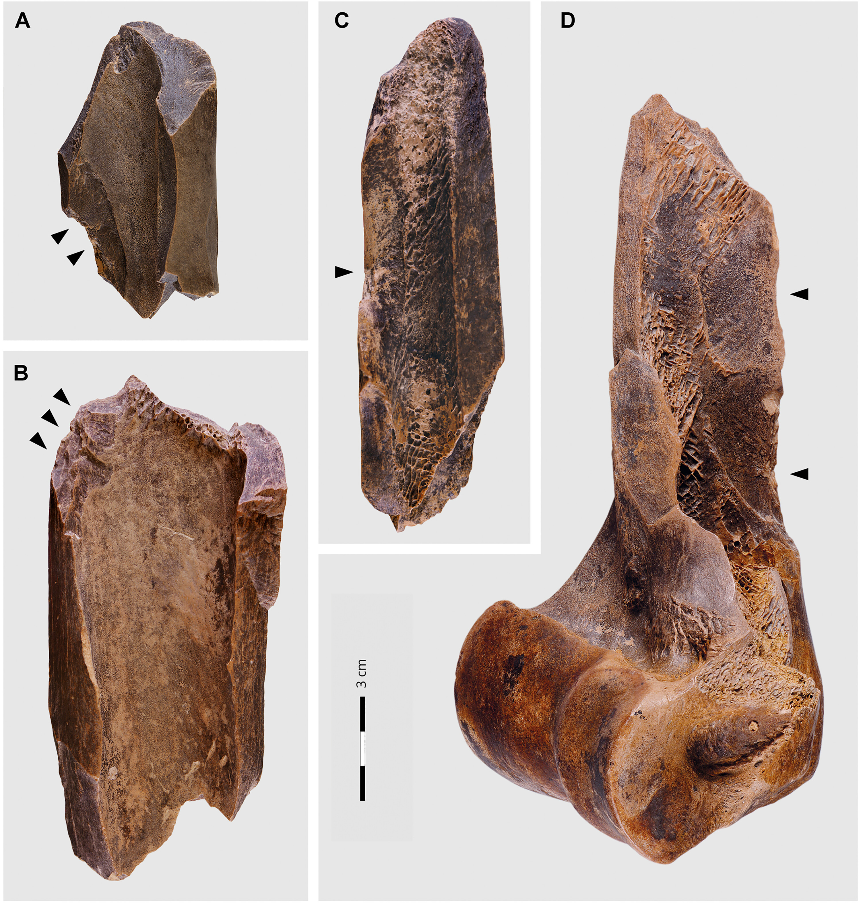 Примеры повреждений длинных костей, вызванных ударом отбойного камня