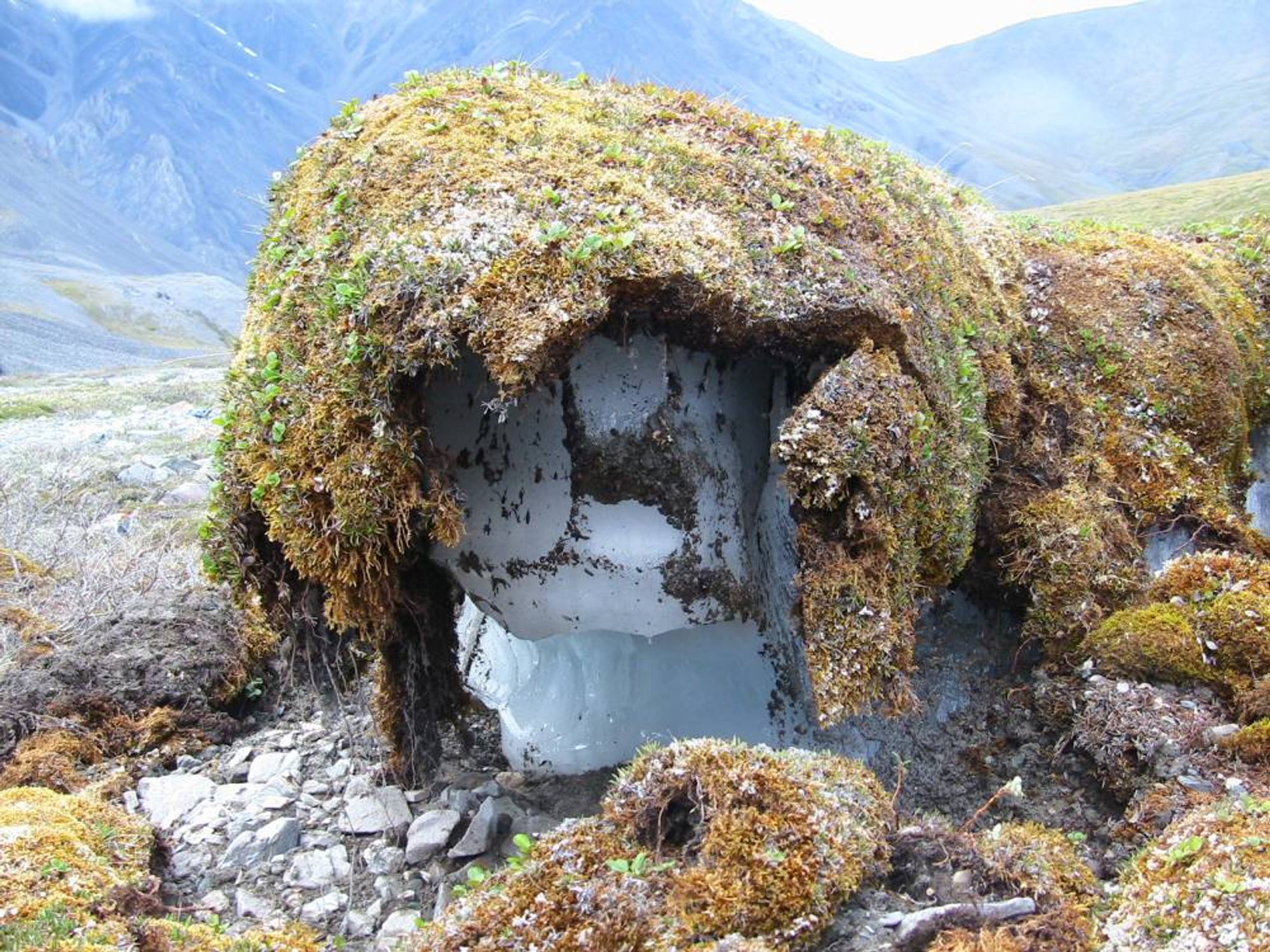 Thawing permafrost