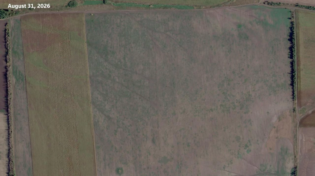 The field near Millerovo on Aug. 31, 2026