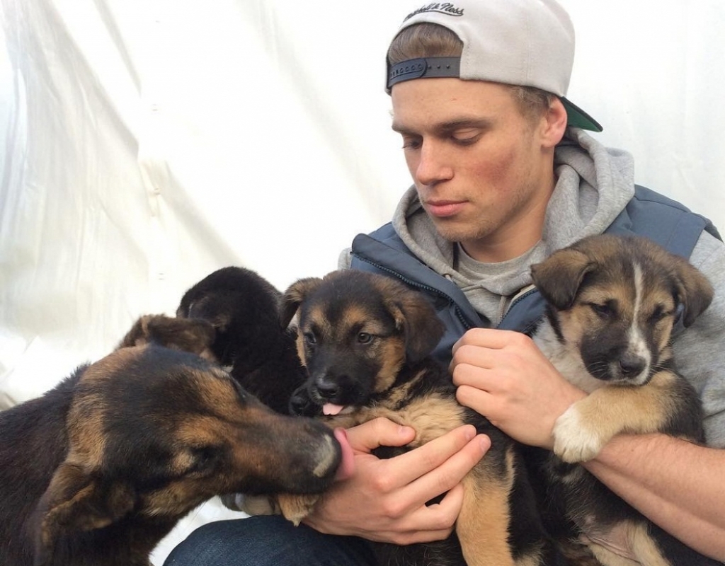 Иллюстрация к материалу