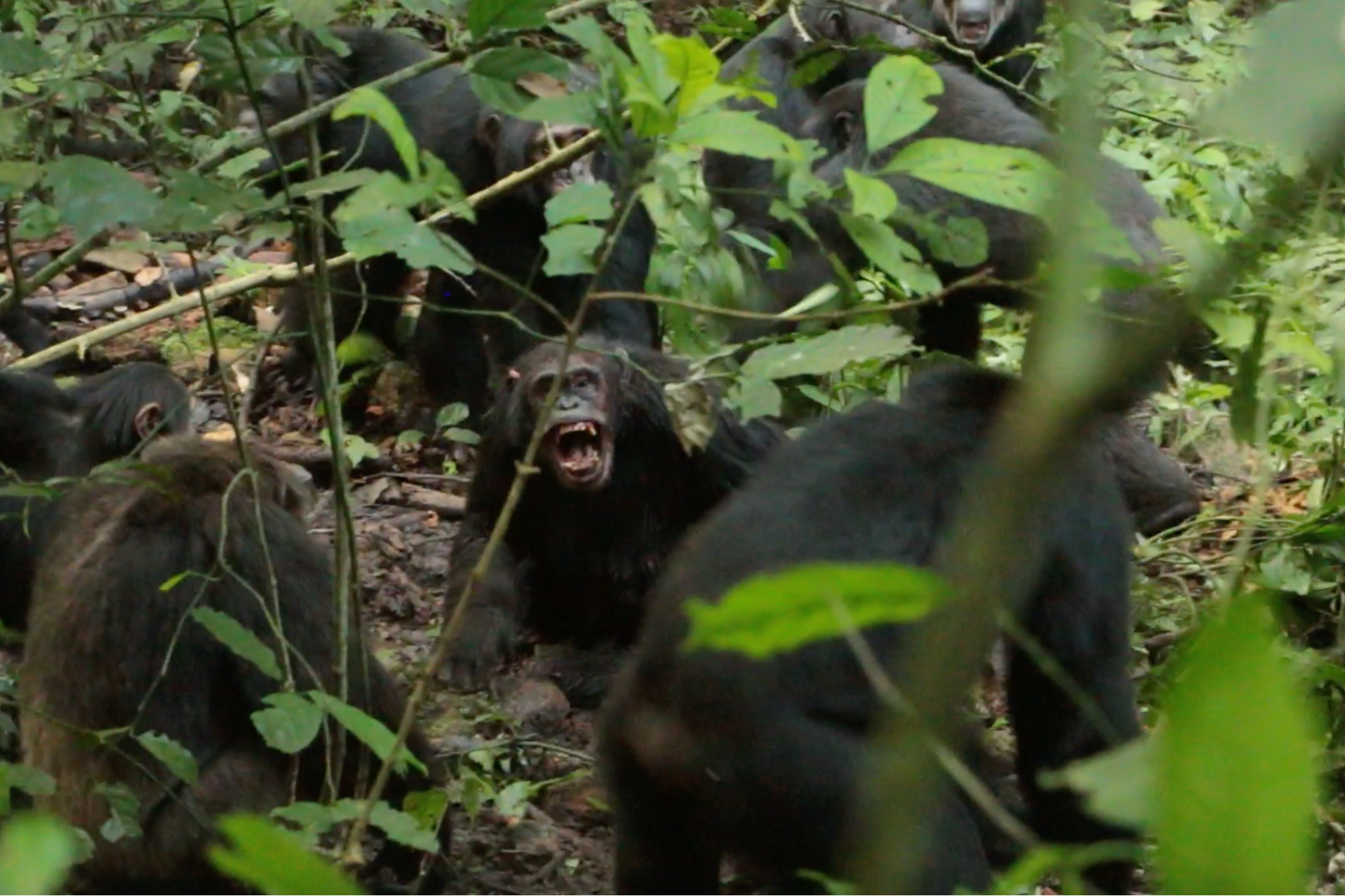 Фото: Aaron Sandel